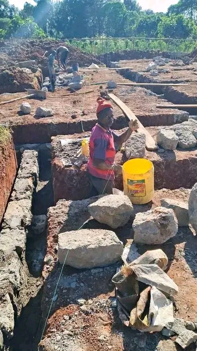 Modern school construction project